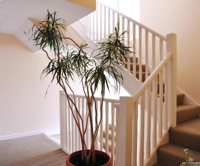 אקסטר Smythen St, 2 Bed Apartment With Balcony מראה חיצוני תמונה